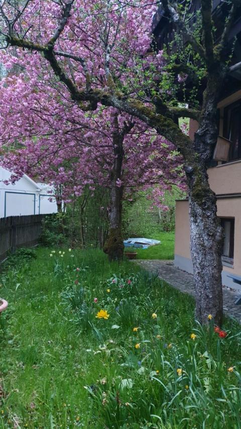 Central Starnberg And Surrounded By Nature Luaran gambar